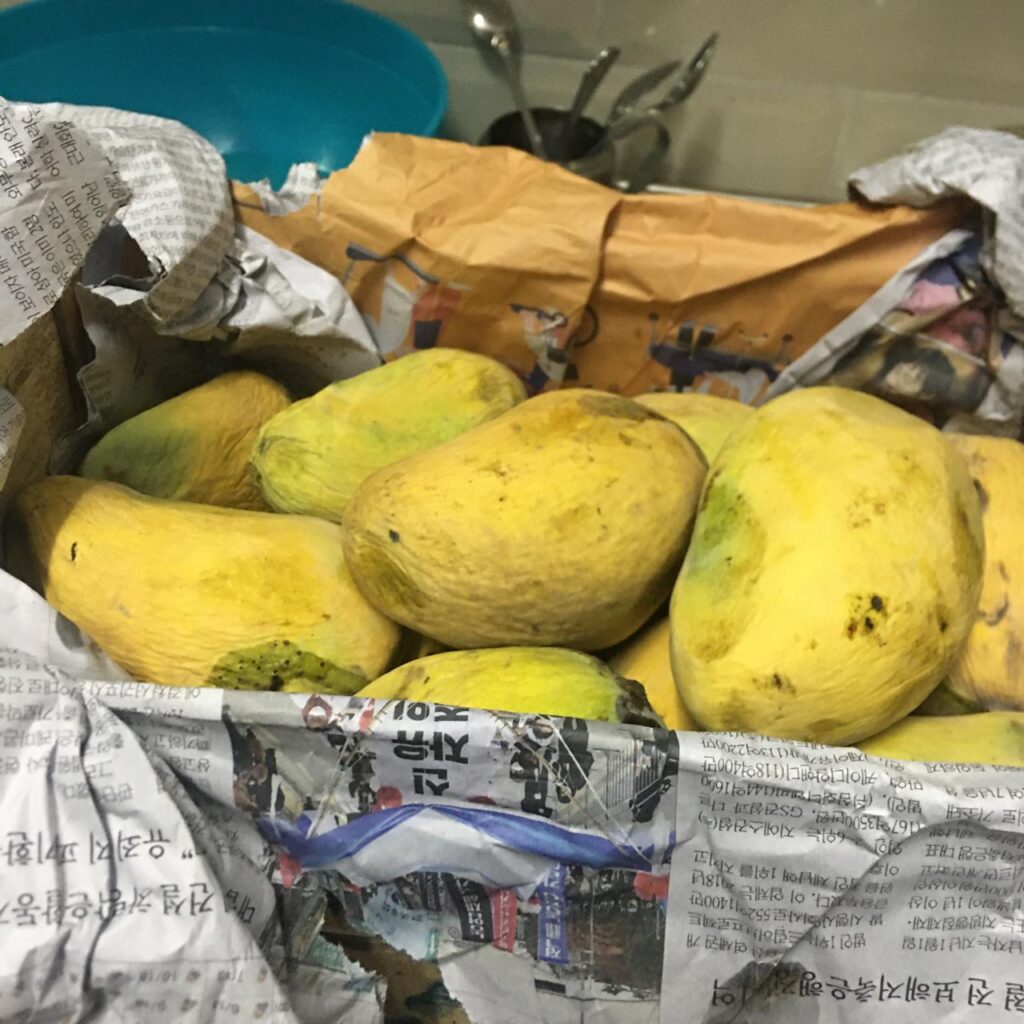 Mango Multan